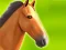 Játék Horse Run 3D online