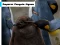 Játék Emperor Penguin Jigsaw online