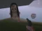 Játék The Island of Momo online