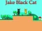 Játék Jake Black Cat online