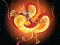 Játék Chinese Dragons Coloring online