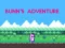 Játék Bunn's Adventure online