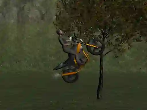 Játék Mountain Bike Rider online