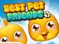 Játék Best Pet Friends online