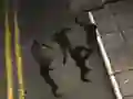 Játék Zombie Reborn online