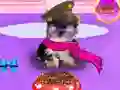 Játék Wash Pets Princess Kids online