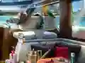 Játék Caribbean Crime online