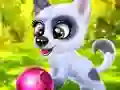 Játék Happy Dog online
