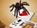 Játék Jumping Spider online