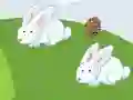 Játék Crazy Eggs online