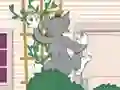 Játék Tom und Jerry: Wasserbomben Wahnsinn online