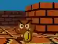 Játék Mario FPS online