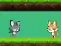 Játék Cat vs Dog online