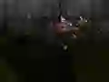 Játék Zombie Survival online