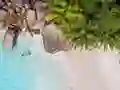 Játék Seychelles Beach Jigsaw Puzzle online