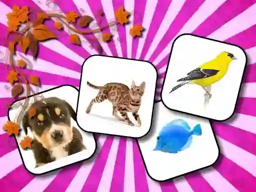 Játék Animals Memory online