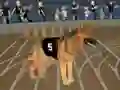 Játék Crazy Dog Racing Fever online