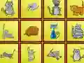 Játék Cats Findiff online