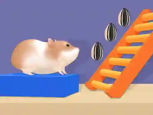 Játék Hamster Stack Maze online