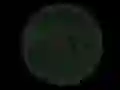 Játék Stickshot 2 online