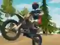 Játék Dirt Bike Enduro Racing online