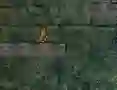 Játék Bunny Adventure online