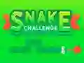 Játék Snake Challenge online