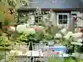 Játék Flower Garden online