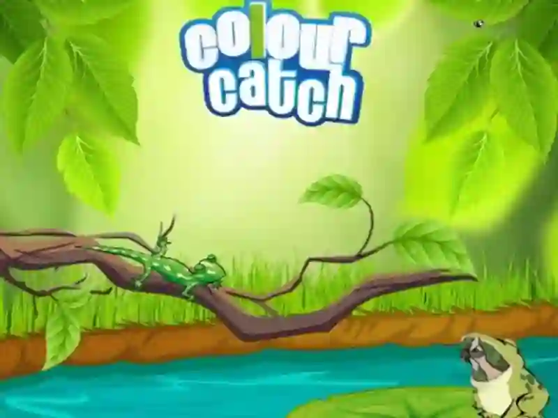 Játék Colour Catch online