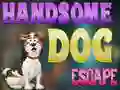 Játék Handsome Dog Escape online