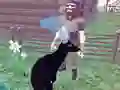 Játék Deer Simulator 3D online