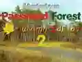 Játék Mysterious Password Forest Autumn Edition 2 online