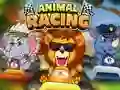 Játék Animal Racing online