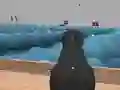 Játék Ships 3D online