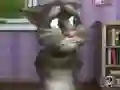 Játék Talking Tom Cat 2 online
