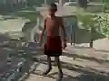 Játék Black Apocalypse online