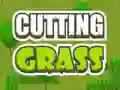 Játék Cutting Grass online