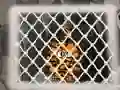 Játék Tiger Escape 1 online
