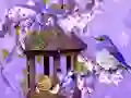 Játék Wonderful Humming Bird Land Escape online