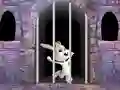 Játék Victory Rabbit Escape online