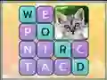 Játék Word Search Pictures online