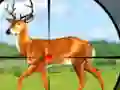 Játék Wild Hunt Hunting Games 3D online
