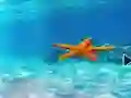 Játék Escape From Underwater Starfish online