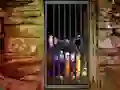 Játék Hidden Cat Escape online