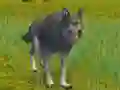 Játék The Wolf: Wild Animal Simulator online