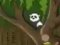 Játék Panda Jungle Escape online