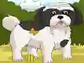 Játék Dogs Spot the Diffs Part 2 online
