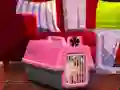 Játék Escape The Small Pug online