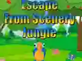 Játék Escape from Scenery Jungle online