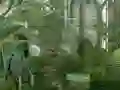 Játék Mystery Garden Escape online